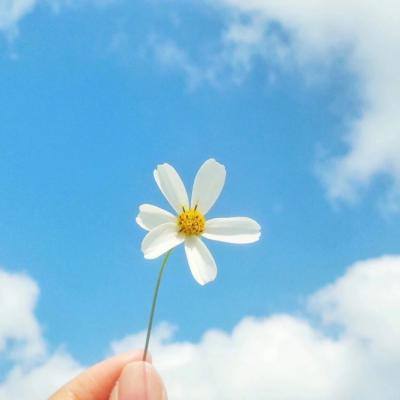 新乐动体育app下载官网