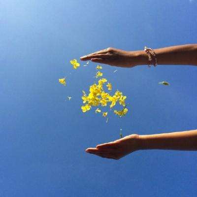 乐宝体育官网登录入口app下载