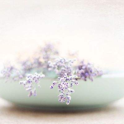 云开体育·app官方入口