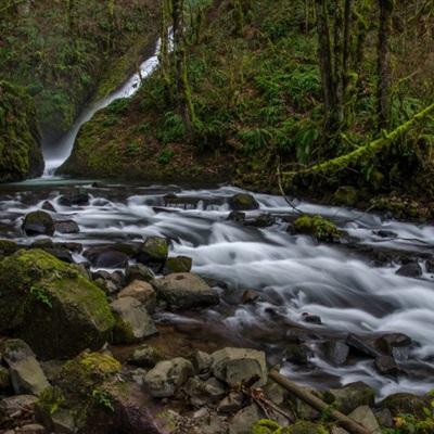 ayx在线登录入口app下载