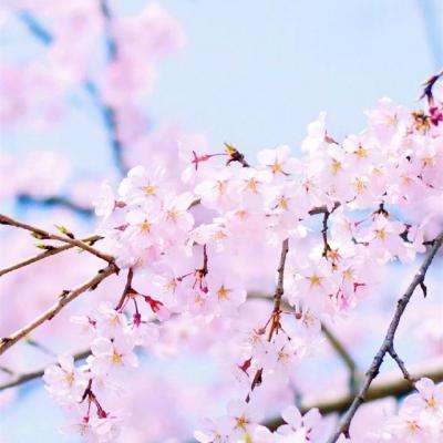 乐宝体育官网登录入口app下载