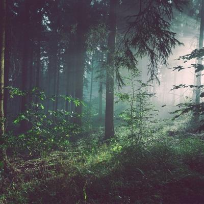 双彩网下载手机版